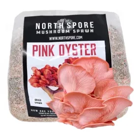 Organic Pink Oyster Mushroom Grain Spawn