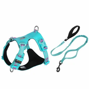 Premium Reflective Lightweight Cordura Harness & Leash Set